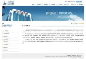 深圳企业网站建设 从品牌形象到电商店铺的全面指南