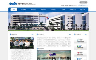 深圳翰宇药业股份有限公司网站建设 企业数字化转型的关键一步